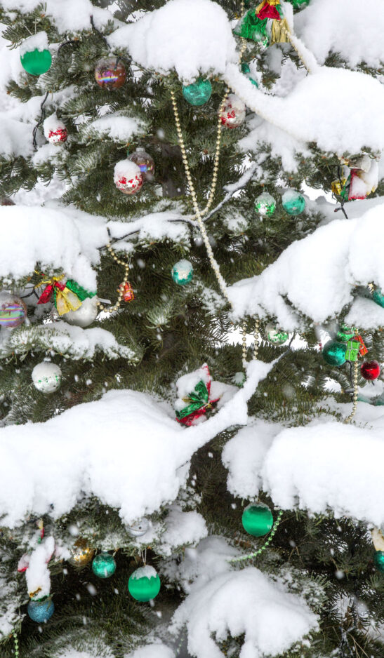 Weather forecast White Christmas, relatively good driving conditions